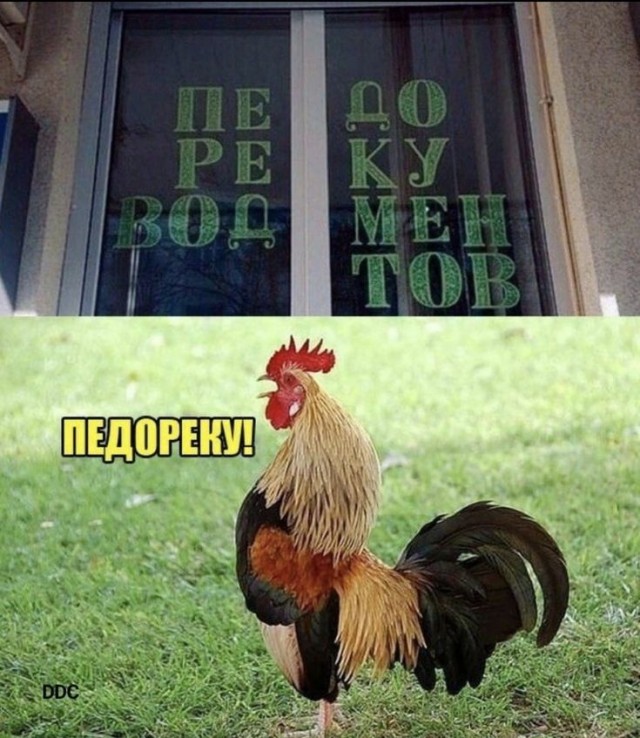 Приколы