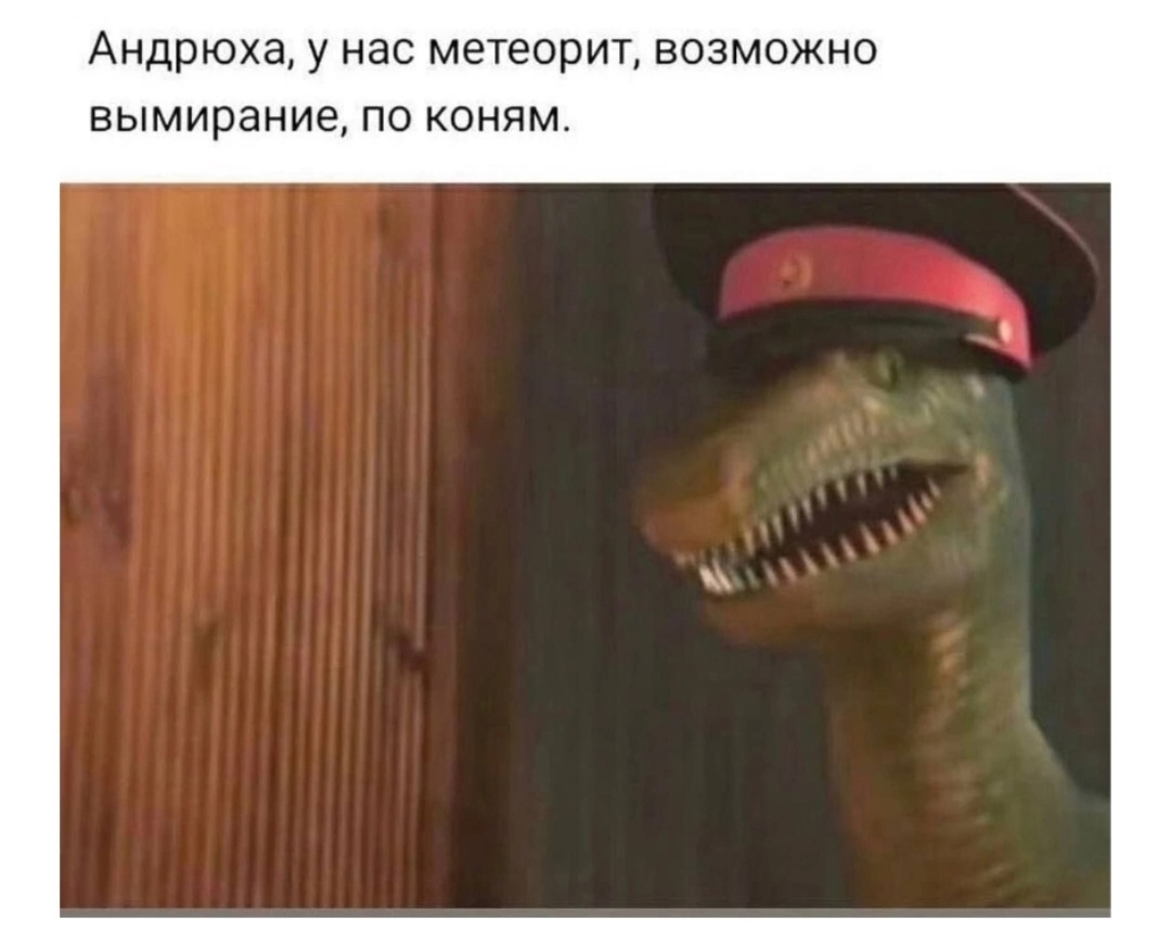 Юмор