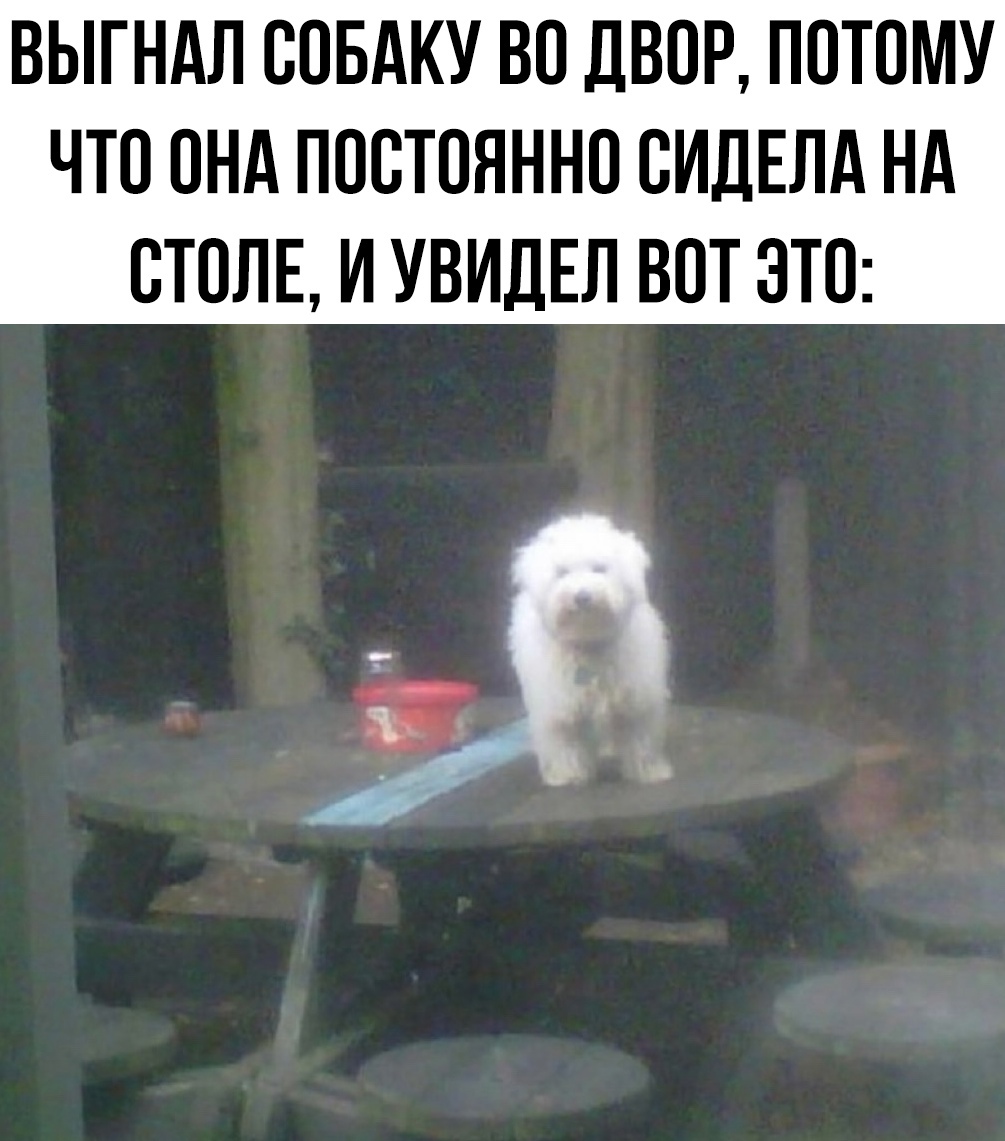 Смешные мемы