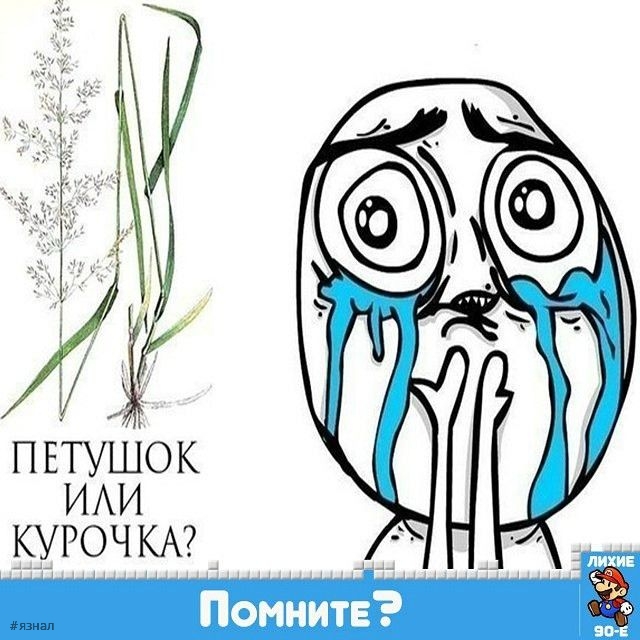 Ностальгия по 90-м и нулевым