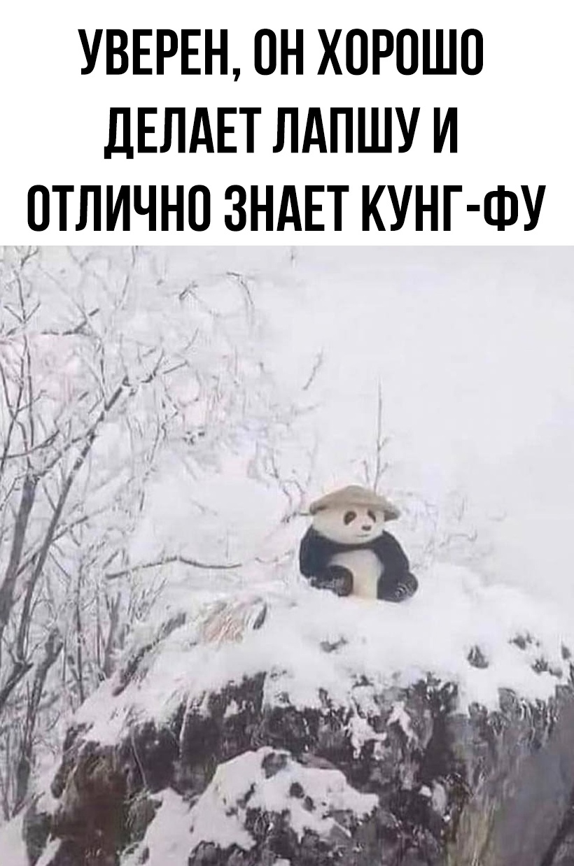 Смешные картинки с надписями