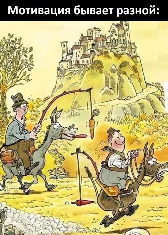 Свежие мемы и смешные картинки: взрослый юмор, который взорвет ваш день