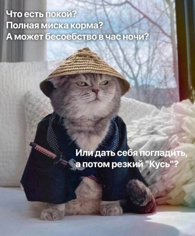 Язвительный юмор