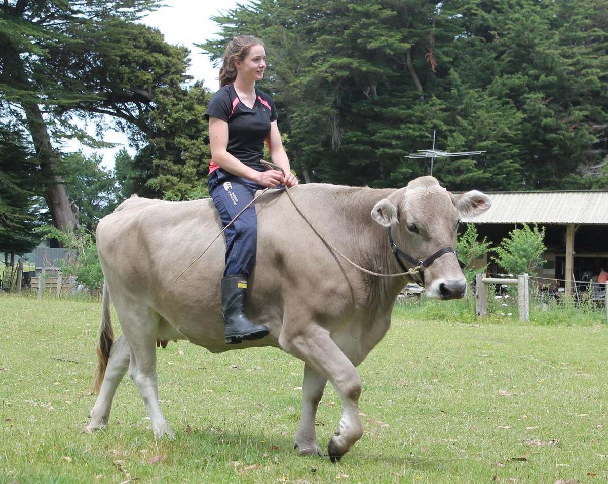 Смешные мемы