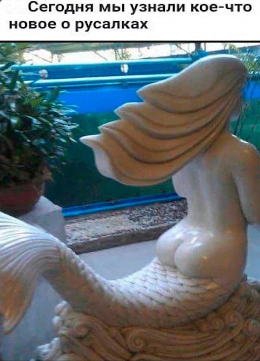 Смешной черный юмор