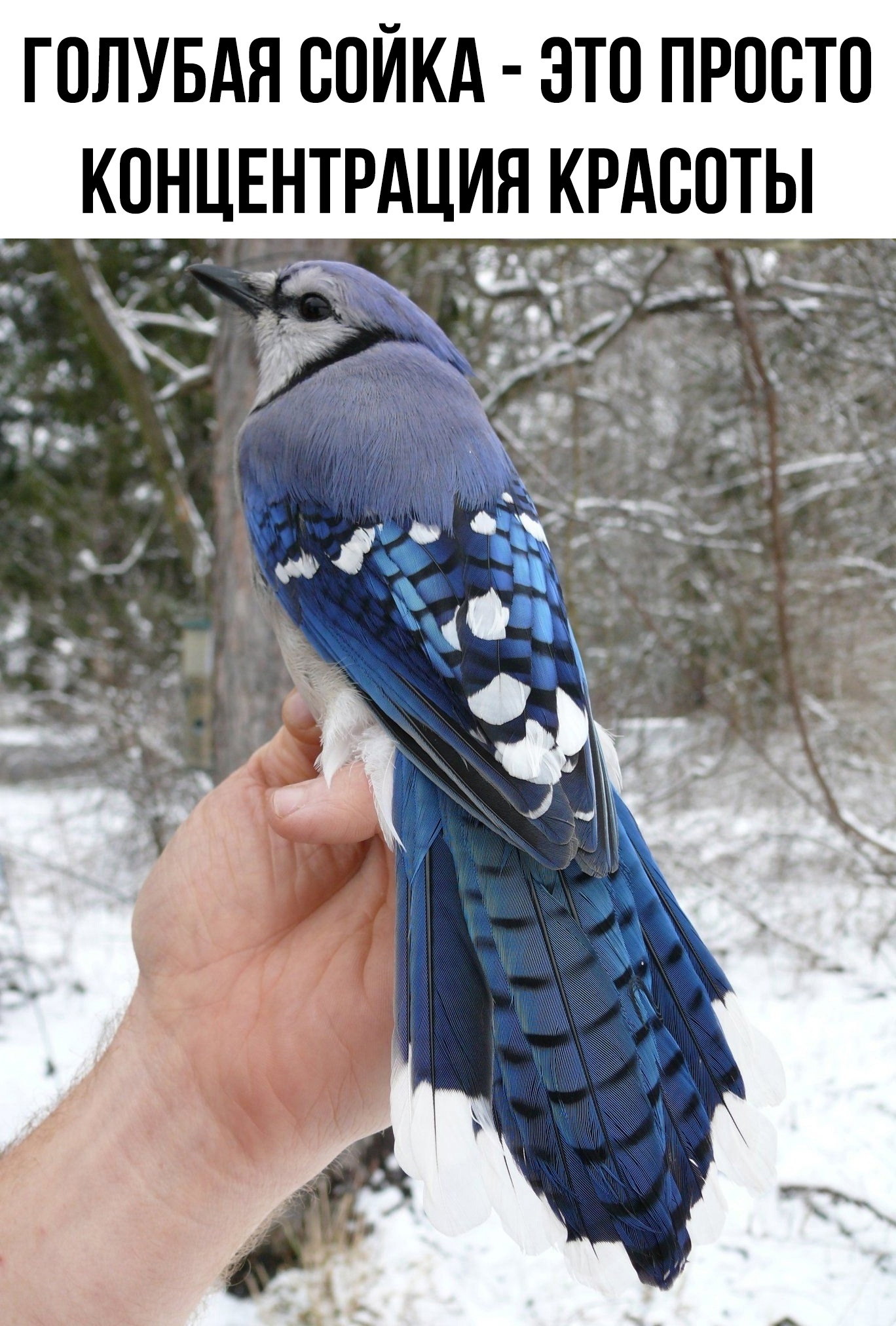 смешные приколы