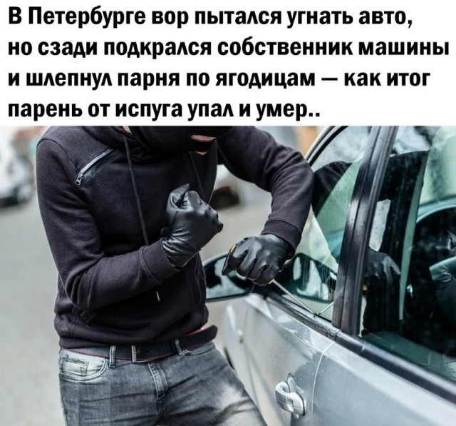 Приколы