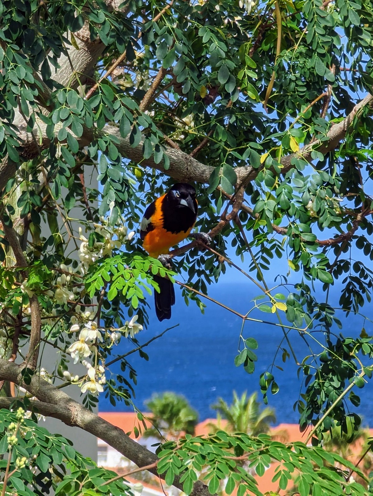 Позитивные картинки