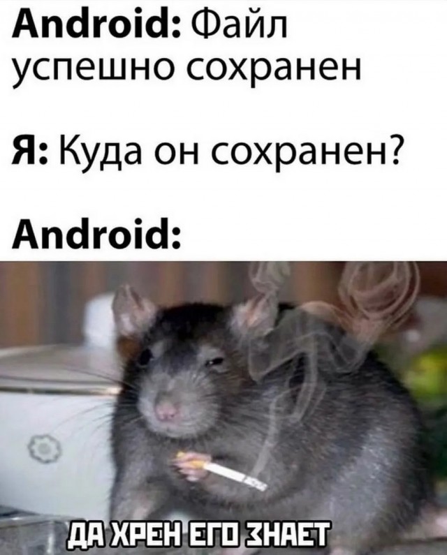 Приколы