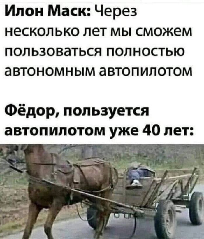 Смешной черный юмор