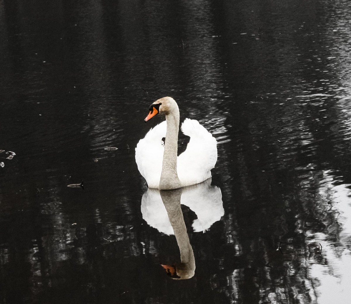 Позитивные картинки