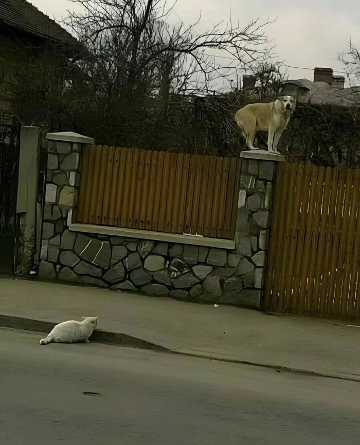 Свежие приколы