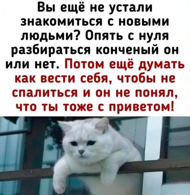 Долгожданный день смеха: заряжаемся позитивом!