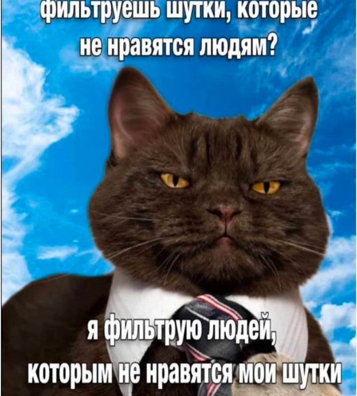 Свежие приколы