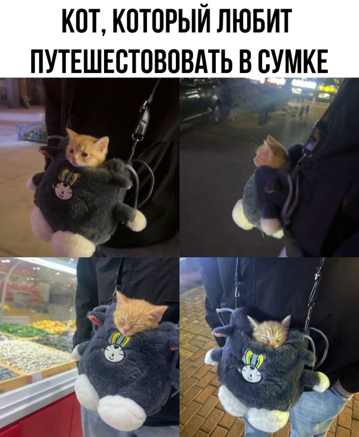 смешные приколы