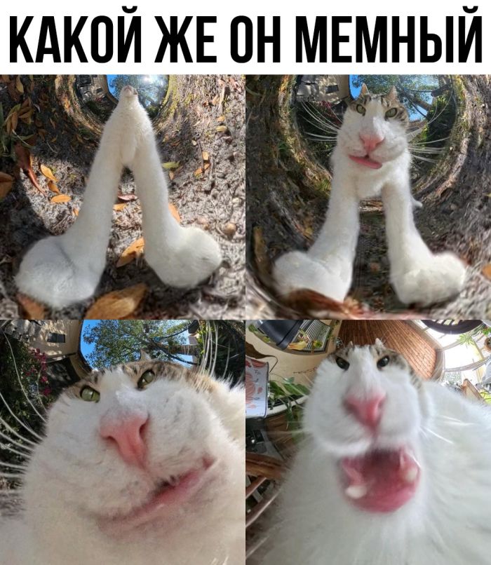 Смешные мемы