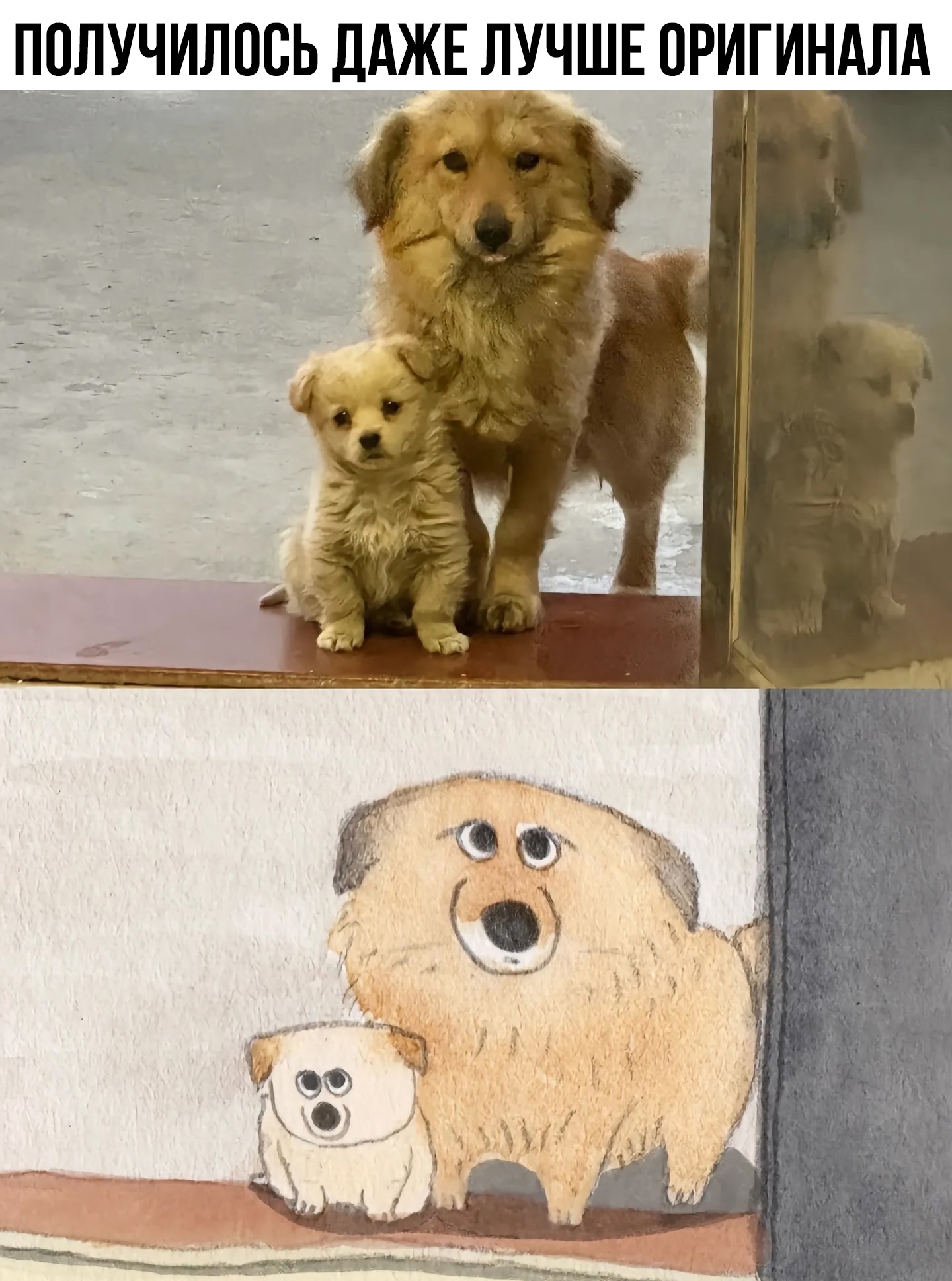 смешные приколы