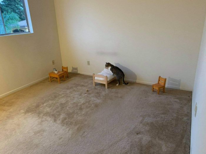 Свежие приколы