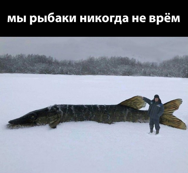 Язвительный юмор