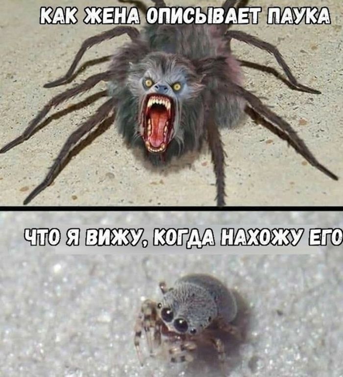 Огромная коллекция самого темного юмора и острых шуток с изюминкой!