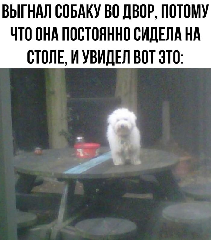 Смешные мемы