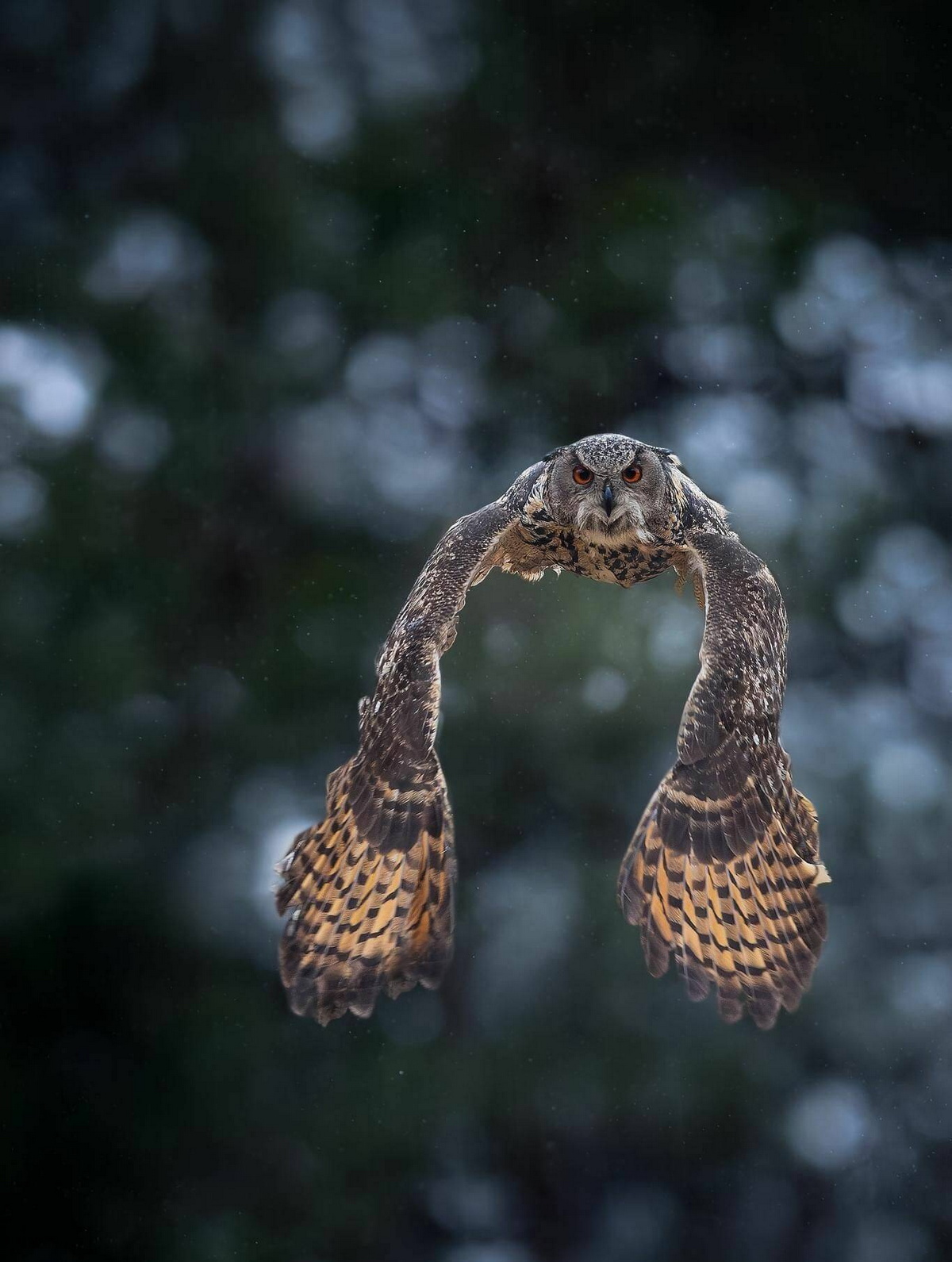 Топ приколы