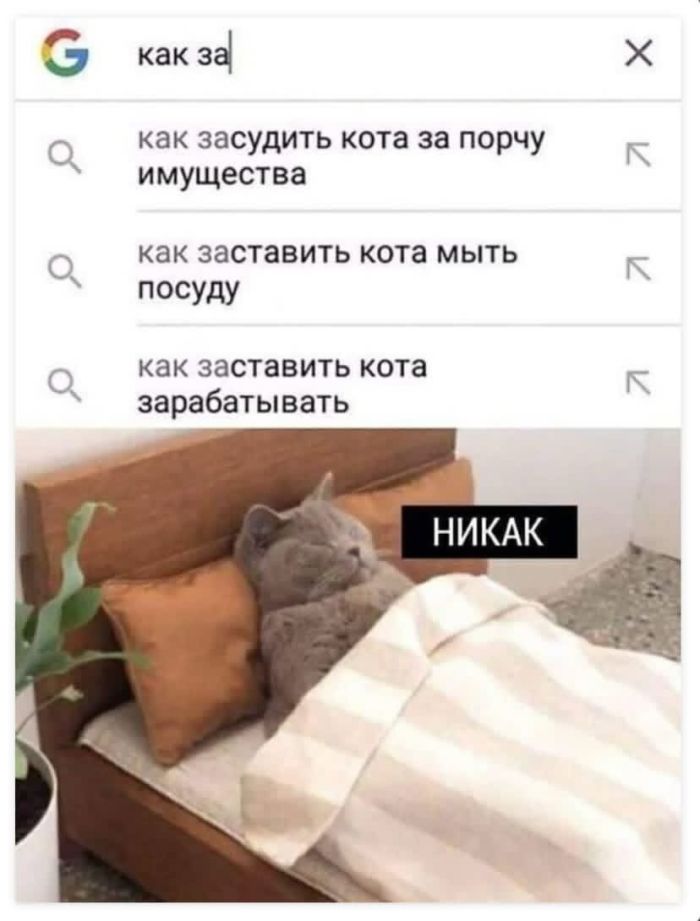 Смешные мемы