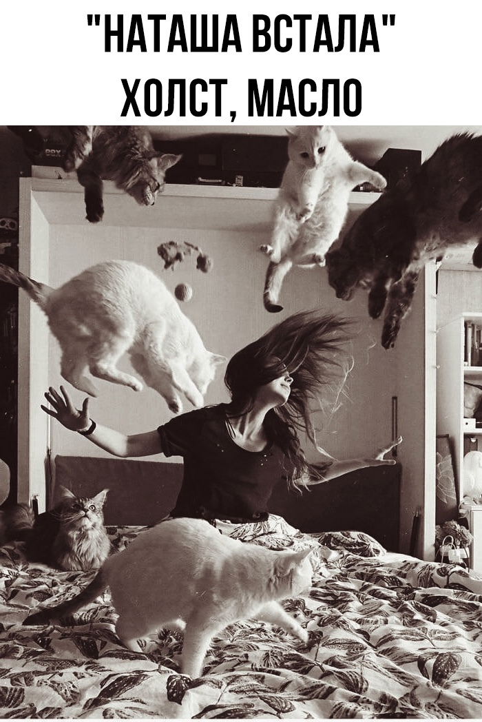 Смешные мемы