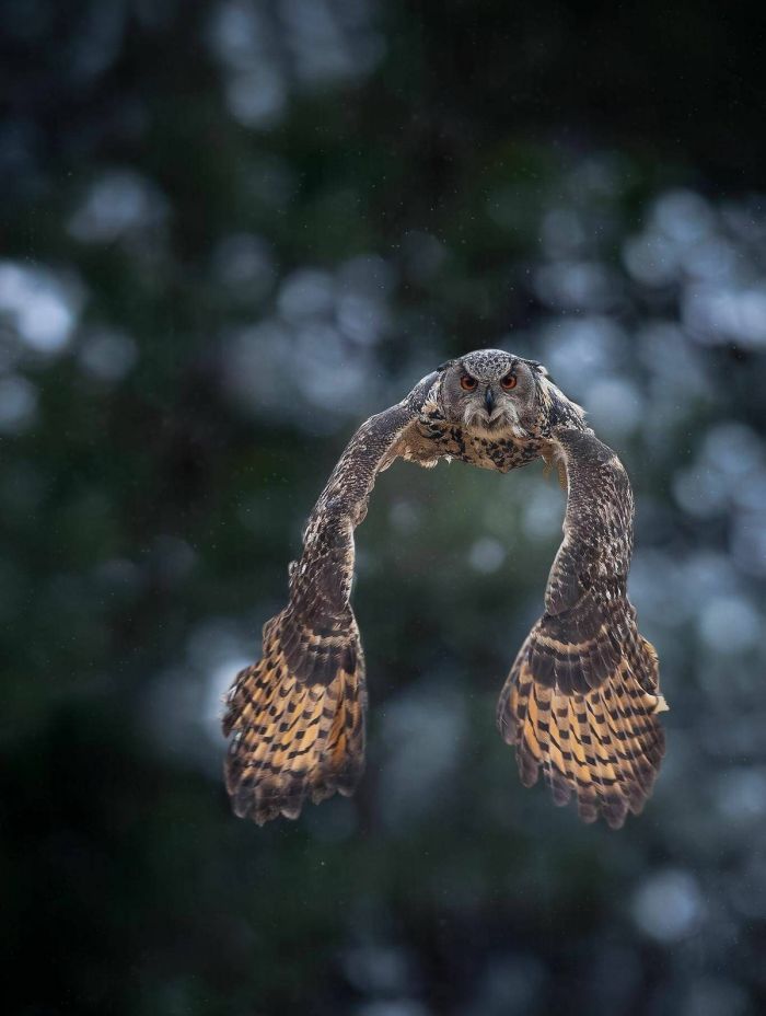 Топ приколы