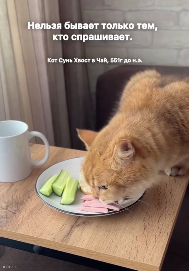 Веселые приколы