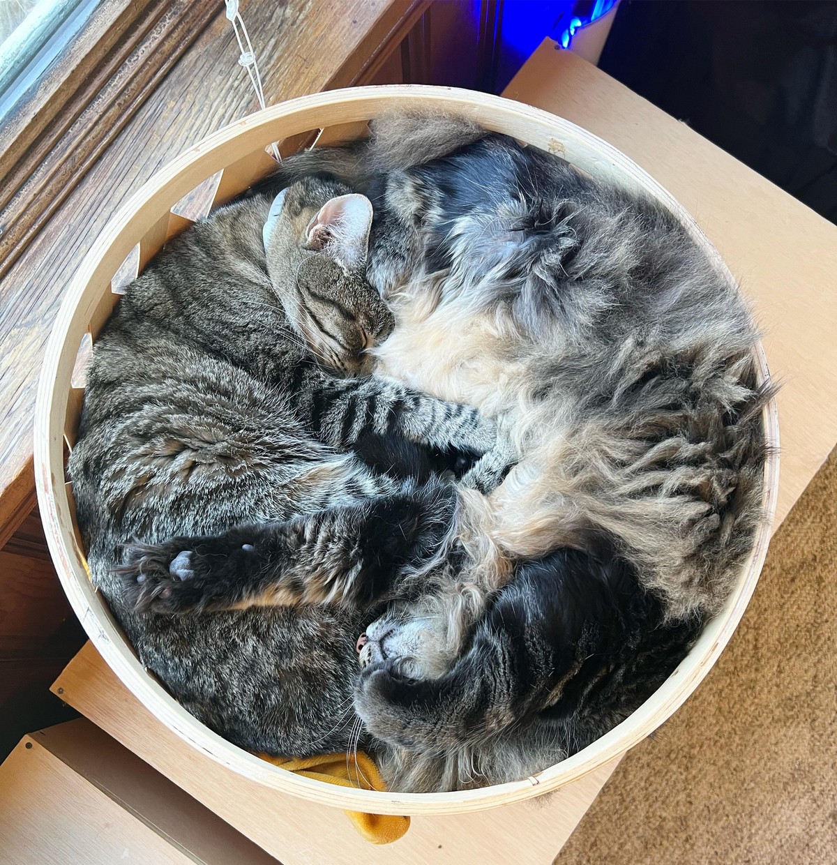 Позитивные картинки