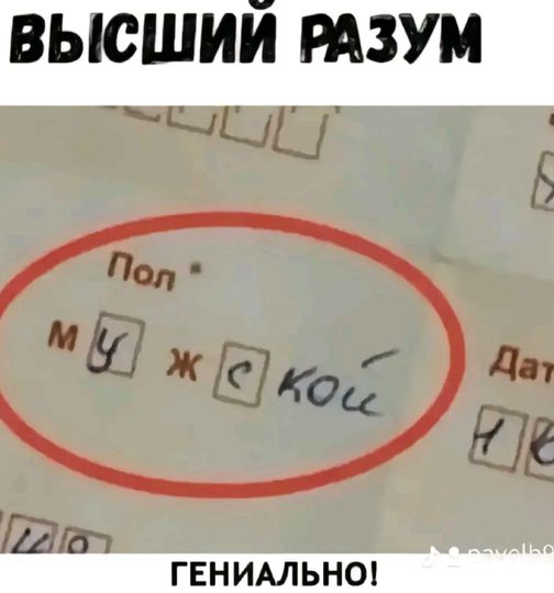 Новый сборник смешных картинок: Поднимите настроение с прикольными подписями