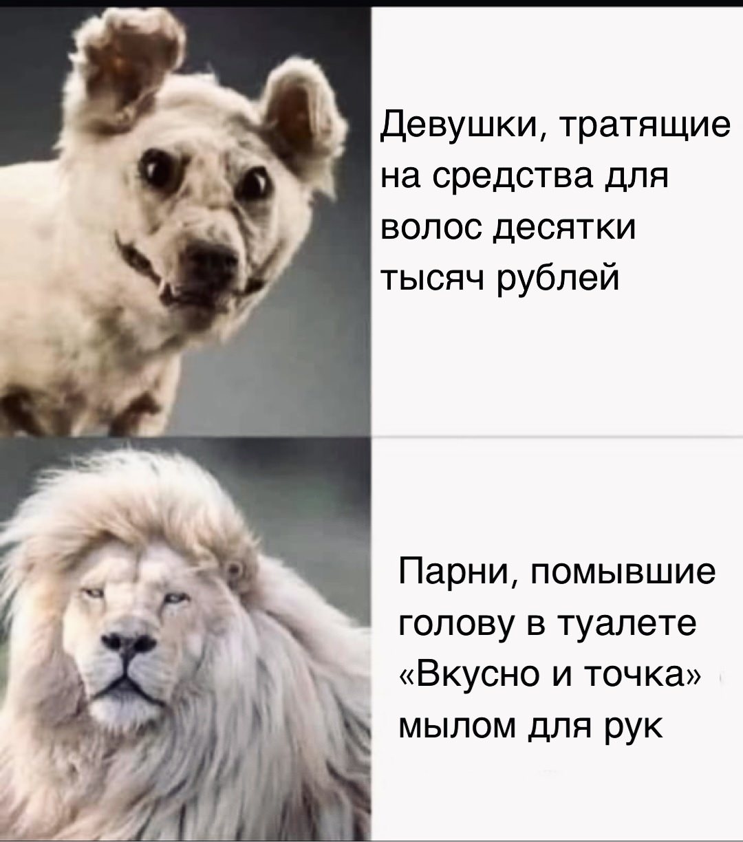 Топ приколы