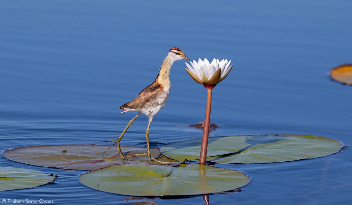 Позитивные картинки