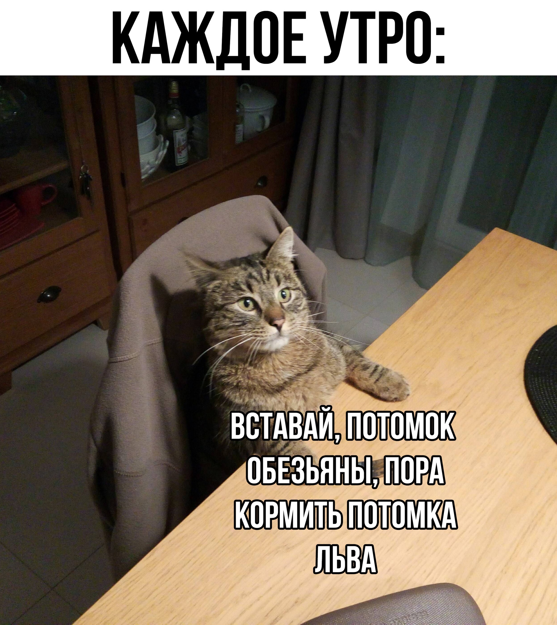 Смешные мемы