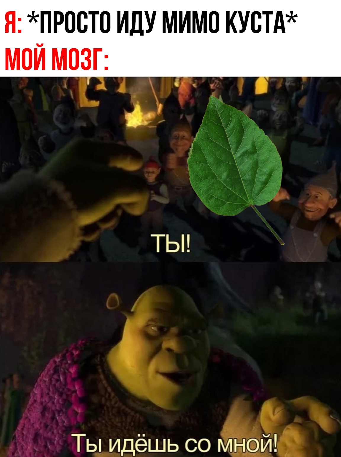 смешные приколы