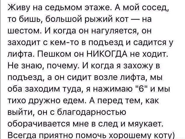 Язвительный юмор