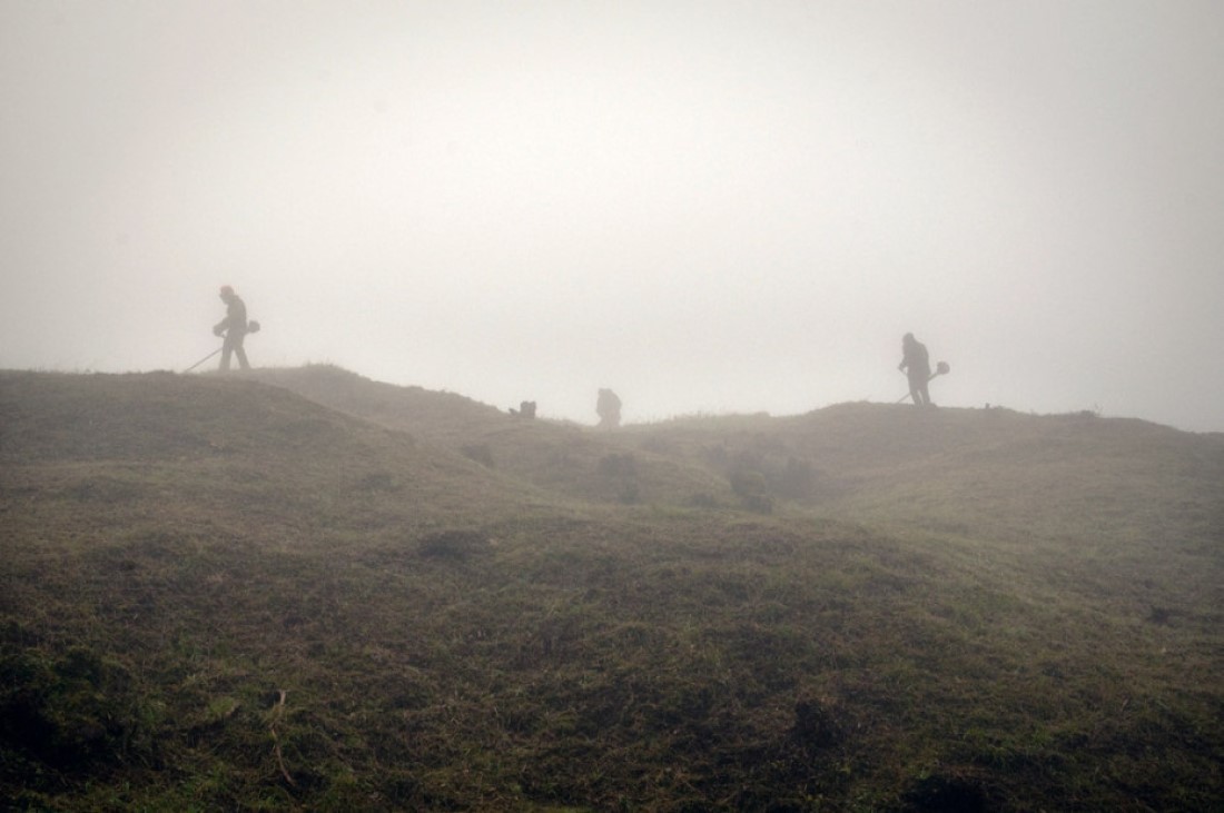 Новый ландшафт