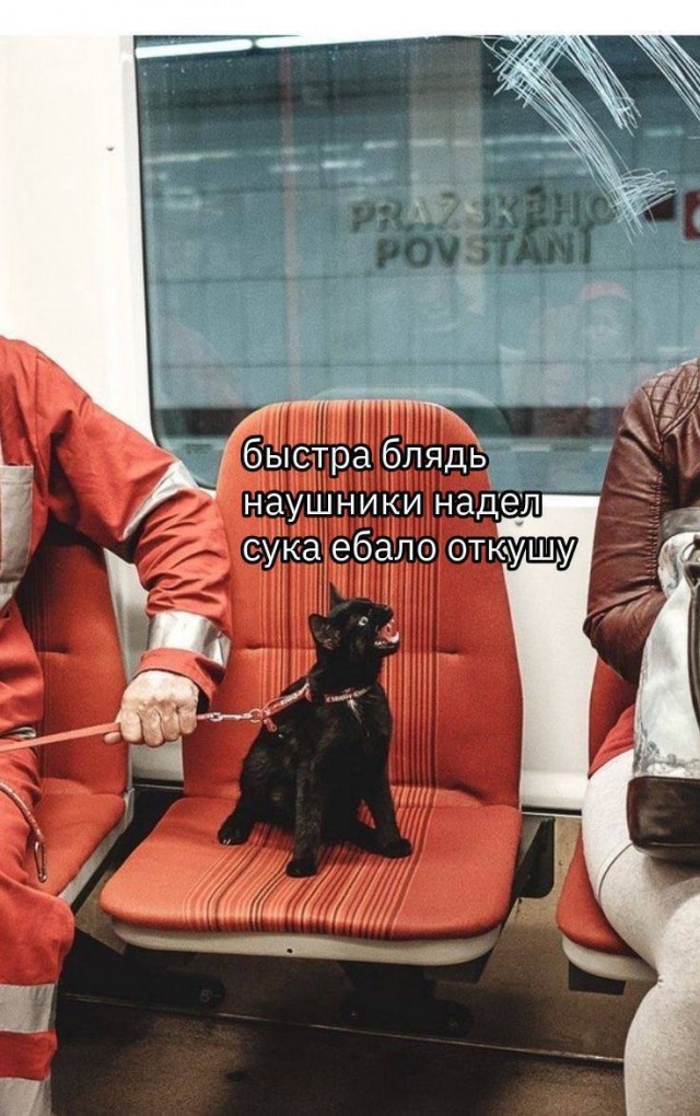 Новый сборник смешных картинок: Поднимите настроение с прикольными подписями