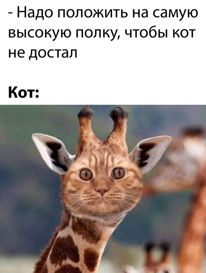 Свежие приколы