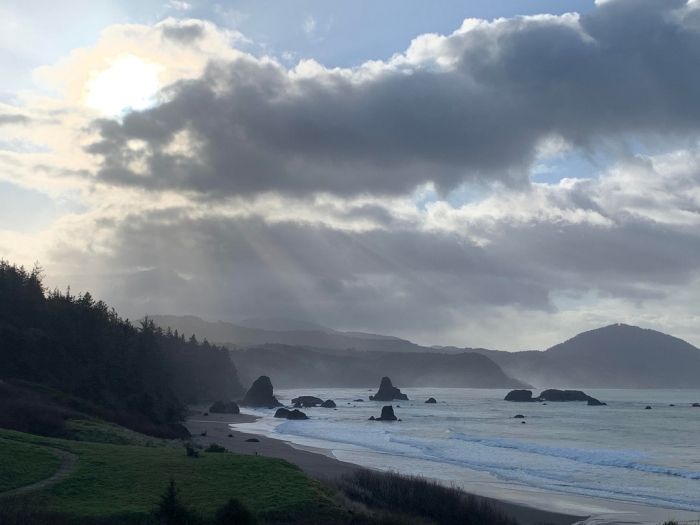 Дикая природа в объективе