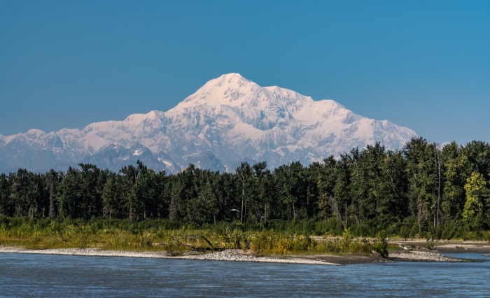 Дикая природа в объективе