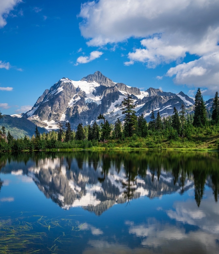 Дикая природа в объективе