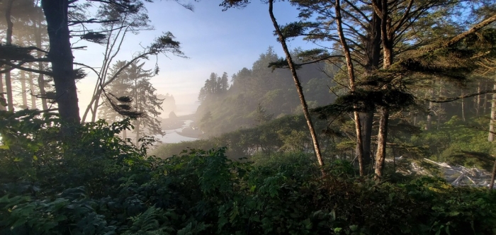 Дикая природа в объективе