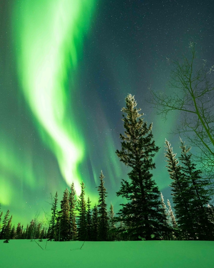 Дикая природа в объективе