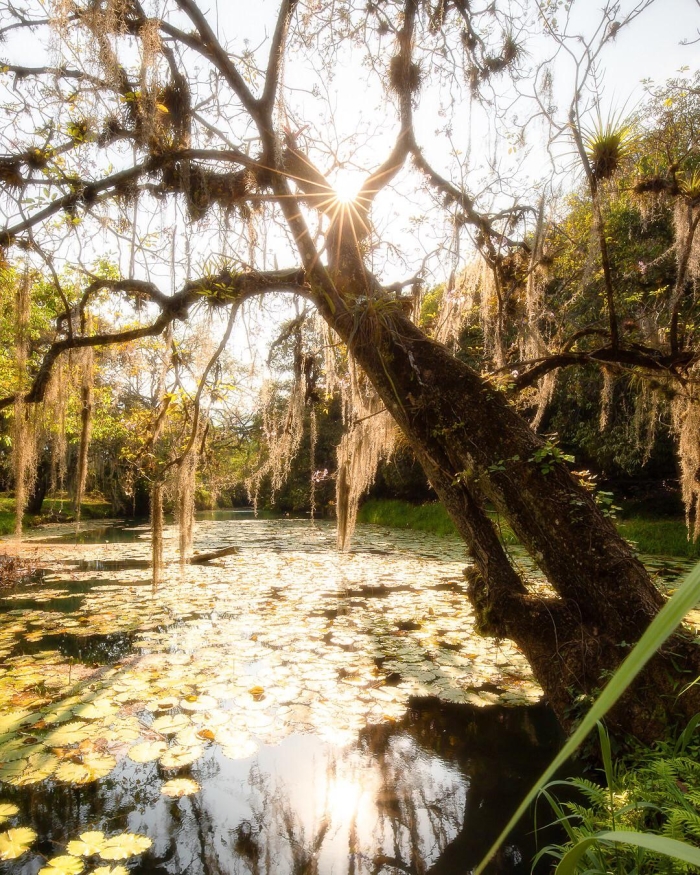 Дикая природа в объективе