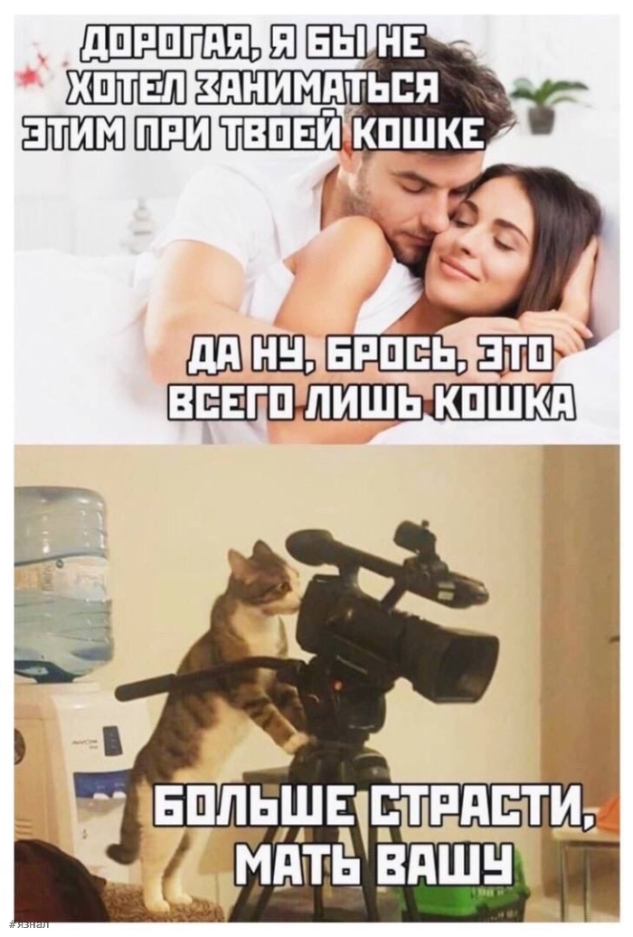 Пошлые приколы на ЯЗНАЛ