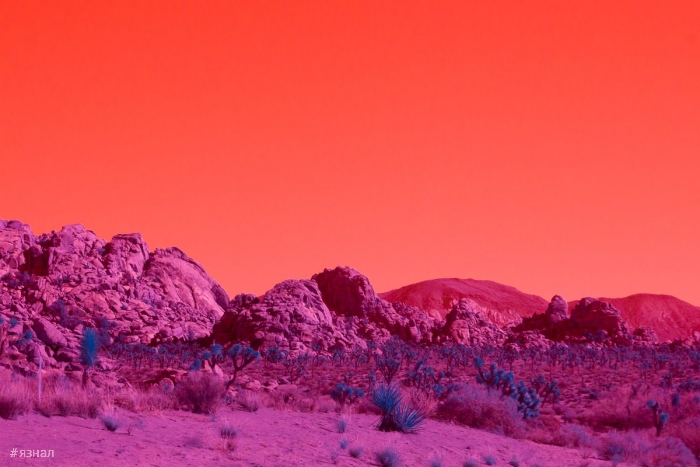 Модернистская архитектура и пейзажи Калифорнии