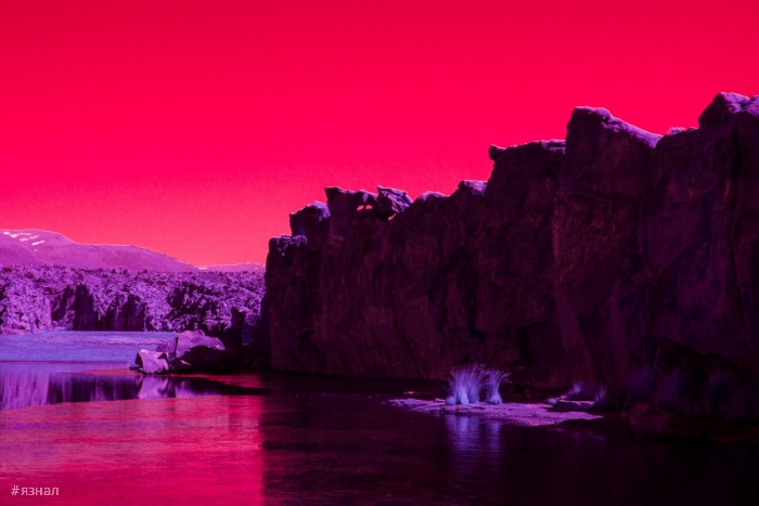 Модернистская архитектура и пейзажи Калифорнии