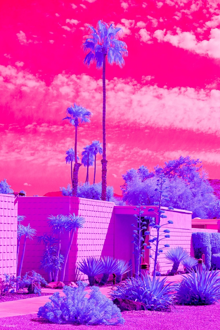 Модернистская архитектура и пейзажи Калифорнии